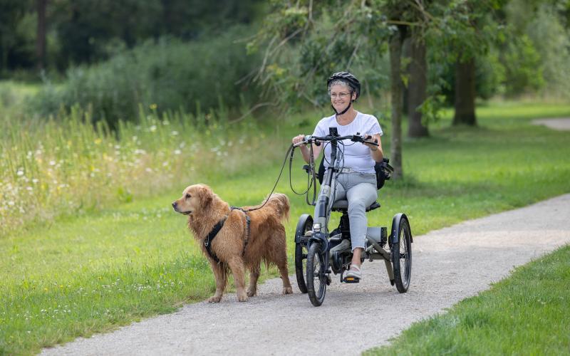 <p>Volwassenen die niet goed op een tweewieler kunnen fietsen door bijv. een verminderd evenwichtsgevoel, krachtgebrek of gewrichtsproblemen.</p>