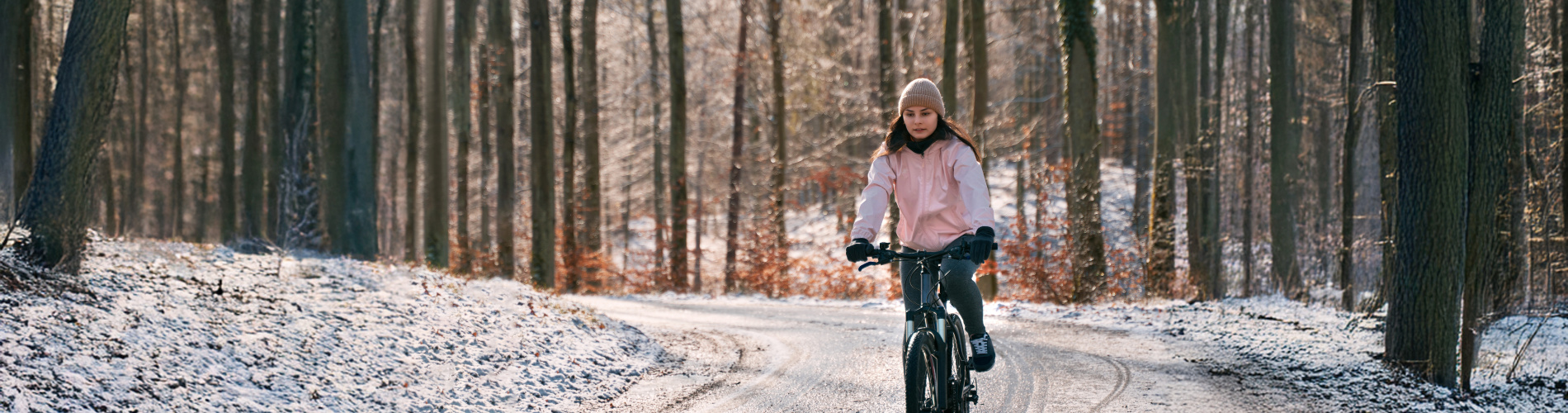 De Lorijn Tweewielers