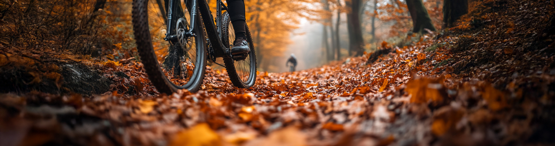 De Lorijn Tweewielers