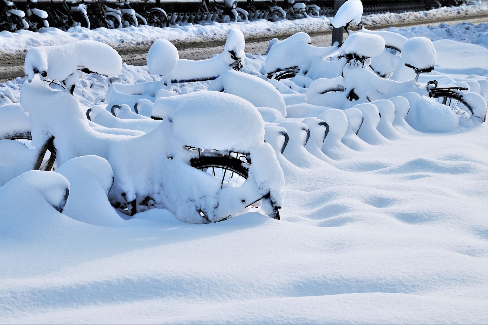 De Lorijn Tweewielers