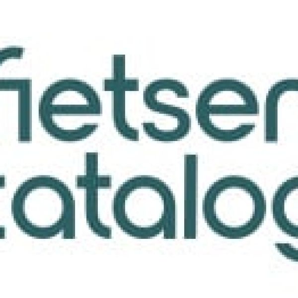 Waarom e-bikes slimmer kunnen: lessen uit de auto-industrie